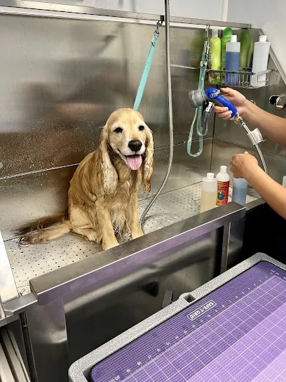 Lovies Mobile Pet Spa — photo from their website