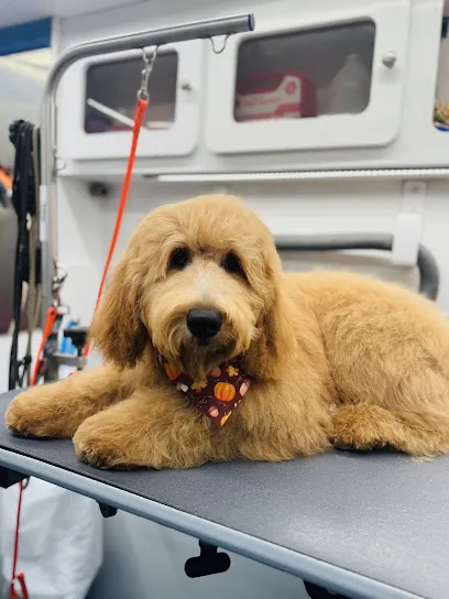 Walt’s Perfect Pups Mobile Grooming — photo from their website
