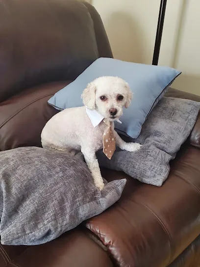 Must Luv Dogs / Must Love Dogs 2 LLC — photo from their website