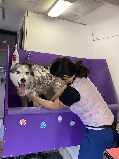 Magoo’s All Pets Mobile Grooming — photo from their website