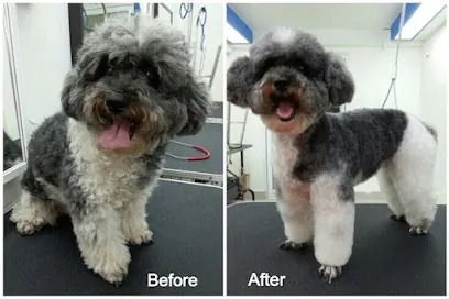 Dogs in Styles Mobile Grooming — photo from their website