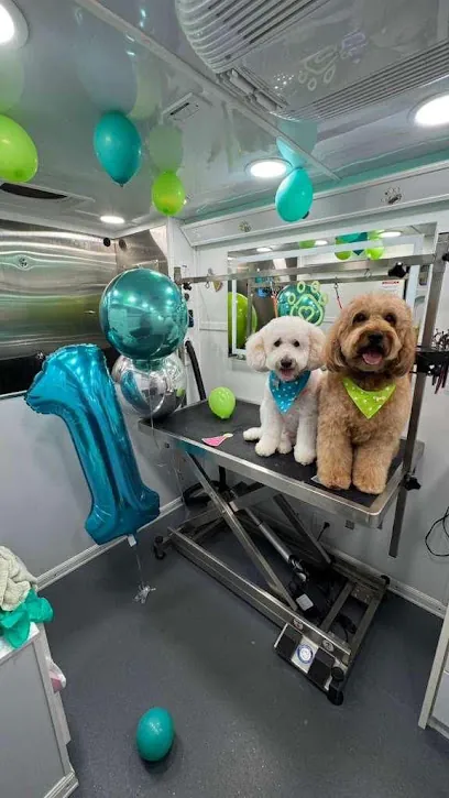 AzuPets Mobile Dog Grooming Miami — photo from their website