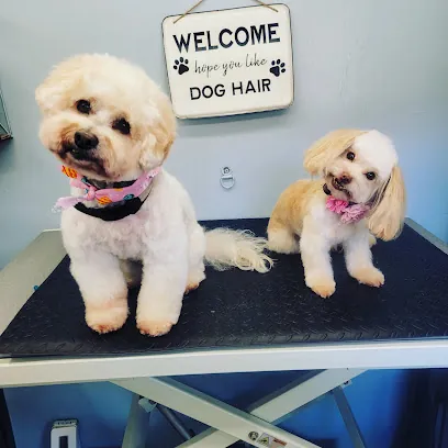Soapy Pets Mobile Grooming LLC — photo from their website