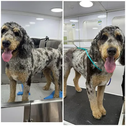 backstage pet grooming mobile — photo from their website