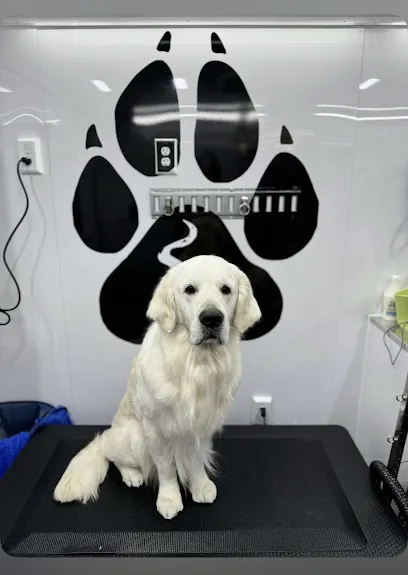 Tails & Trails Mobile Grooming — photo from their website