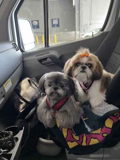 The Grooming Van llc — photo from their website