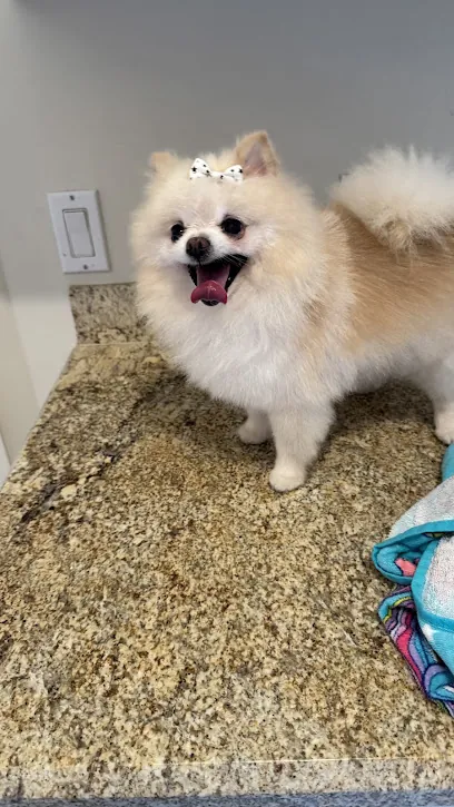 Love & Pooches Mobile Dog Grooming — photo from their website