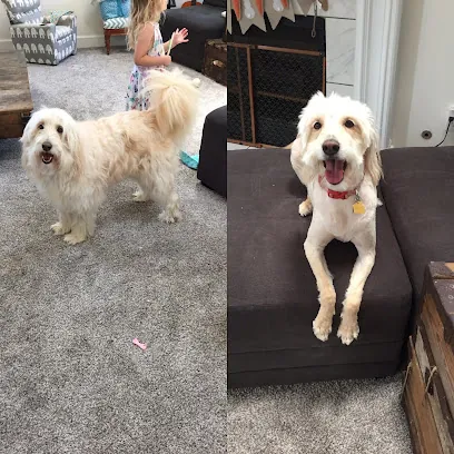 Perfect Paws Mobile Grooming & Spa — photo from their website