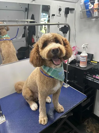 Groombuggy Mobile Dog Grooming — photo from their website
