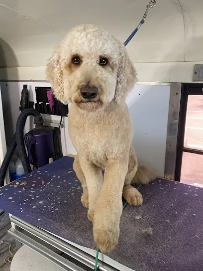 Cheyenne’s Mobile Dog Grooming — photo from their website