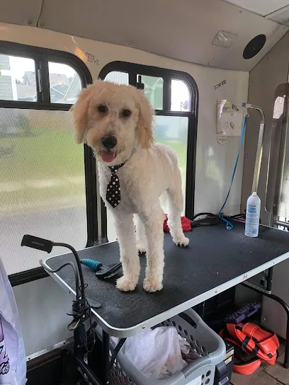 Pooch Ooze Pawsome Mobile Baths — photo from their website