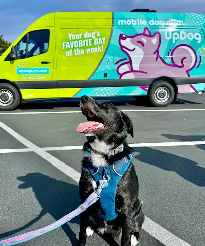 UpDog Gym | Mobile Dog Gym — photo from their website