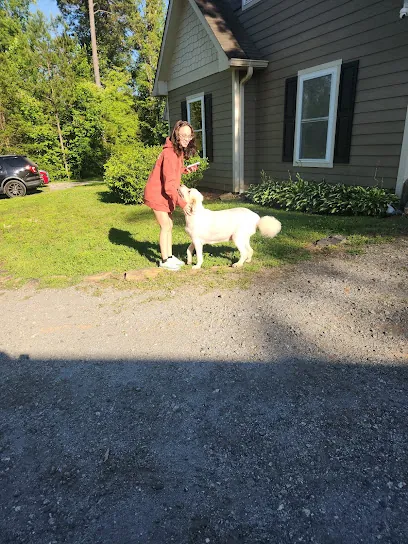 Asheville Mobile Grooming — photo from their website