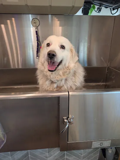 Pawsh Paws Mobile Grooming — photo from their website