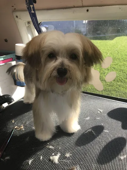 Surf Pups Mobile Grooming — photo from their website