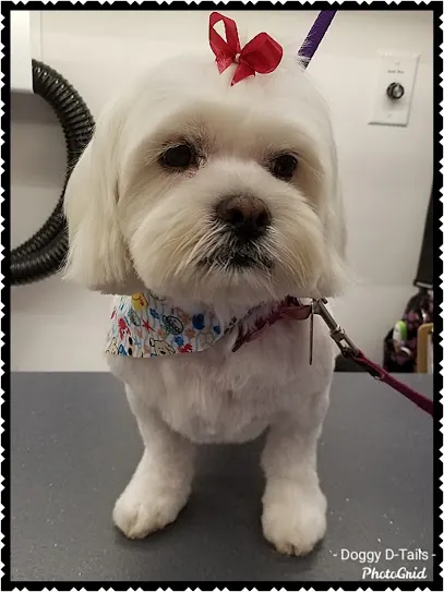 Doggy D-Tails Mobile Dog Grooming — photo from their website
