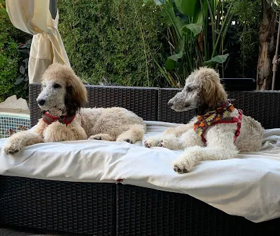 On the Spot Mobile Dog & Cat — photo from their website