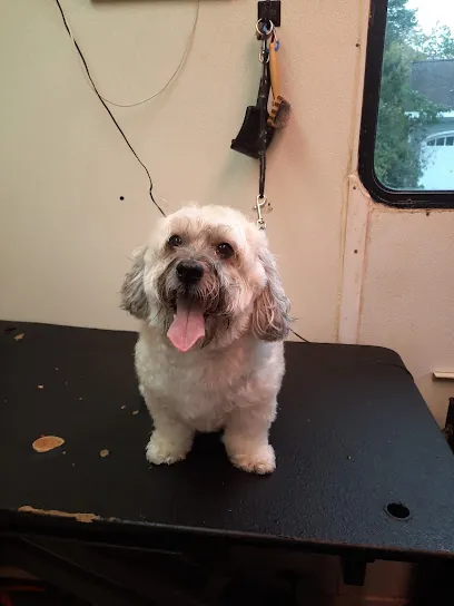 PERFECT PAWS mobile pet grooming — photo from their website
