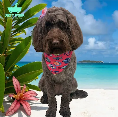 Dirty Work Mobile Pet Spa — photo from their website