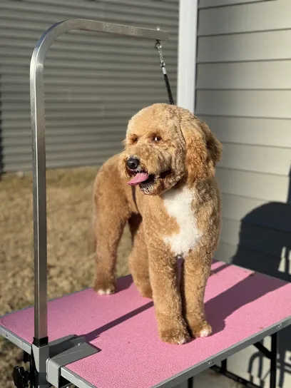 Kibzus Mobile Dog Grooming — photo from their website