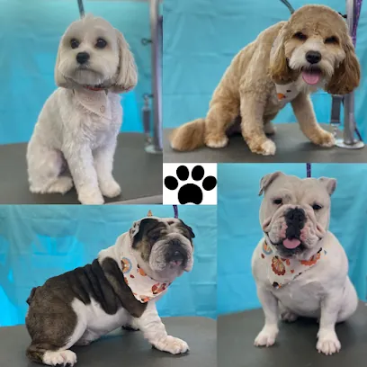 Deb's Mobile Paw Spa, LLC — photo from their website