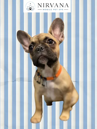 Nirvana Mobile Pet Spa — photo from their website