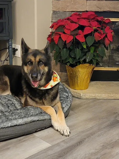 Temecula Barkway Mobile Grooming — photo from their website