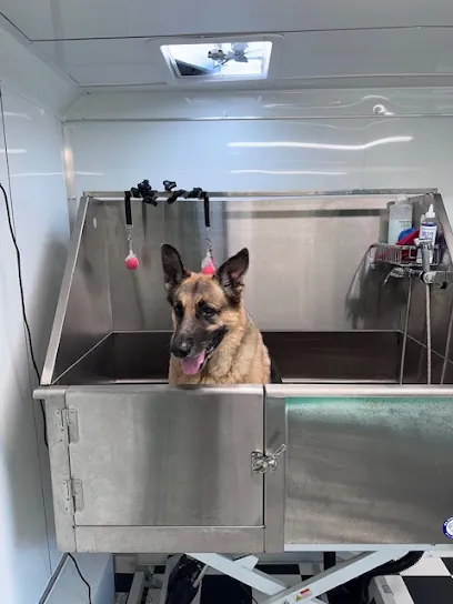 Big Dogz Mobile Grooming — photo from their website