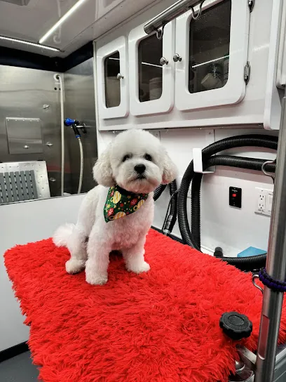 Dallas Mobile Pet Spaw — photo from their website