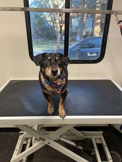 Kelli’s Mobile Dog Bathing — photo from their website