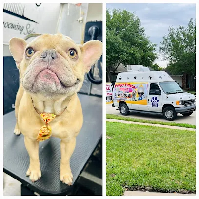 Puppy Palace Dog Grooming Salon & Mobile — photo from their website