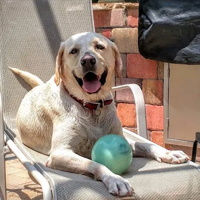Amy's In Home Grooming & Pet Sitting — photo from their website