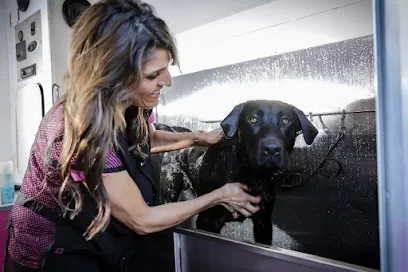 The Washed Paw - Mobile Pet Groomer — photo from their website