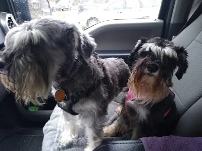 Animal Care of Mobile County — photo from their website
