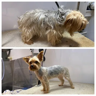 Fuzzy Butts Mobile Grooming — photo from their website