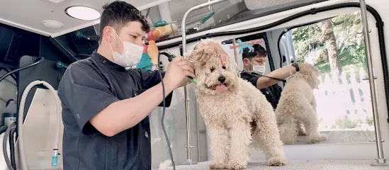 Supreme Pawfection Mobile Dog Grooming Los Angeles, CA — photo from their website