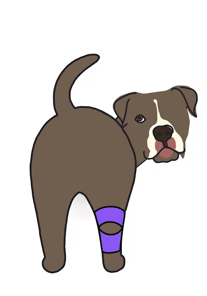 Family Tails Mobile Pet Grooming — photo from their website