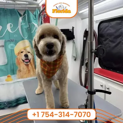 Mobile Dog Grooming Hollywood — photo from their website