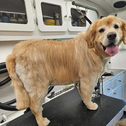 Lucky Dog Mobile Grooming Spa — photo from their website