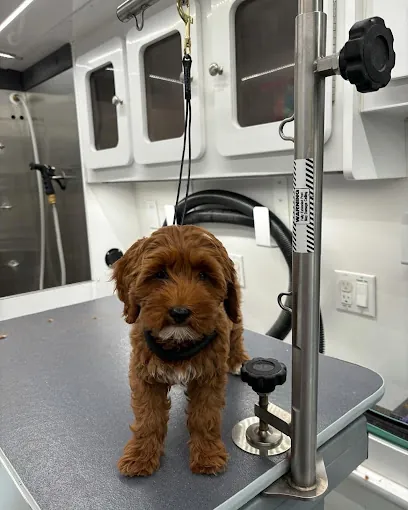 Happy Pups Mobile Dog Grooming — photo from their website