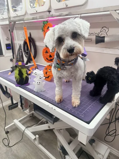 Kokopelli's Mobile Pet Grooming — photo from their website