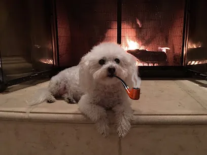 Bark-N-Bubbles Mobile Dog Grooming Salon — photo from their website