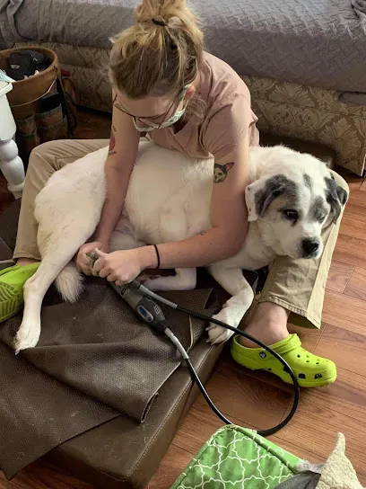 Roving PETicures - In-Home Pet Nail Trims — photo from their website