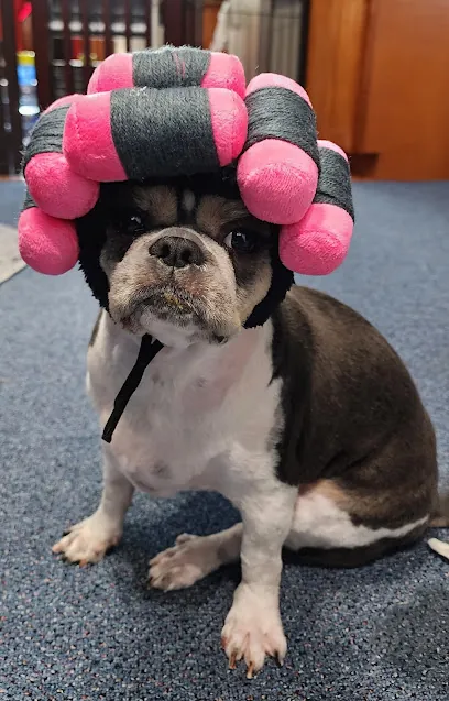 Barkbark Boutique Mobile Grooming — photo from their website
