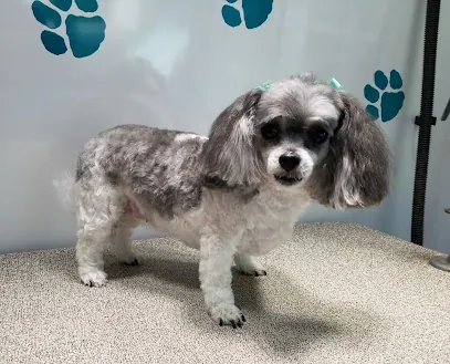 Ruff Cuts Mobile Pet Grooming — photo from their website