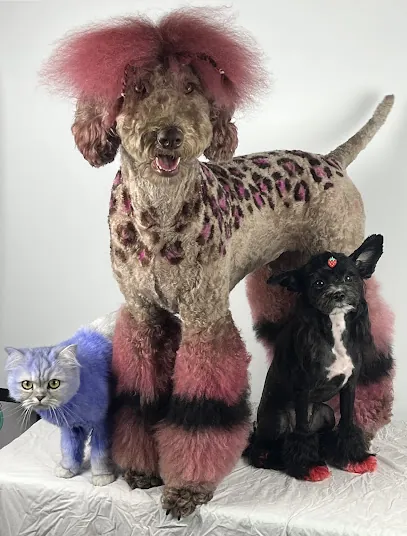 Lavish Paws Mobile Spa — photo from their website