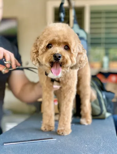 Grooming with Max - Mobile — photo from their website
