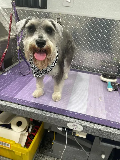 Mobile Pet Grooming Margate — photo from their website