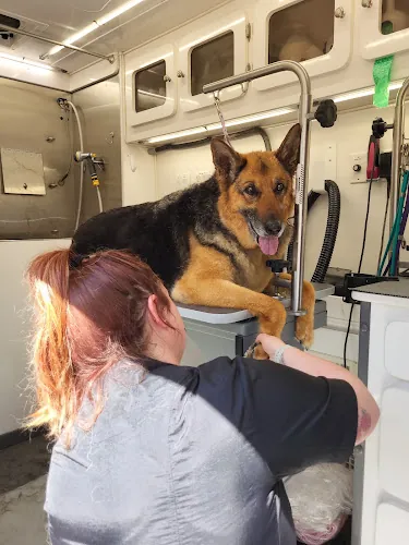 The Pet Tailor Salon and Mobile Dog Grooming — photo from Google Maps