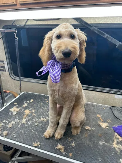 Dog Gone Clean Mobile Pet Spa — photo from their website